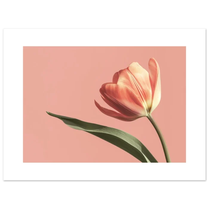 318b3c39-e7e5-424e-9c43-1cc468afdb6b