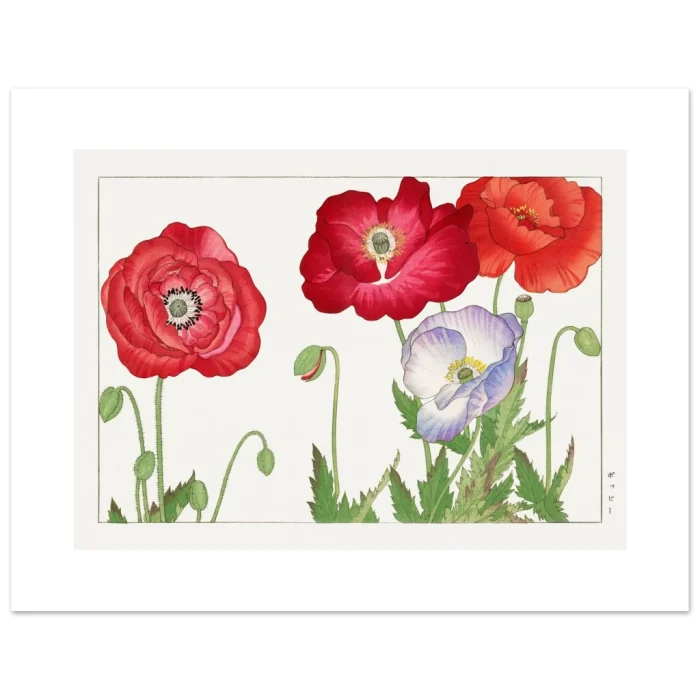 31f24472-2d60-458c-9448-1d12937442a8