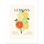 31ff644a-4e55-4ec8-b2ff-24b632b9446e