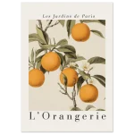 3228c722-417c-4e4b-94f7-e050816c079e