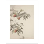 32834245-fe9b-4e97-8524-38aad334a1f6