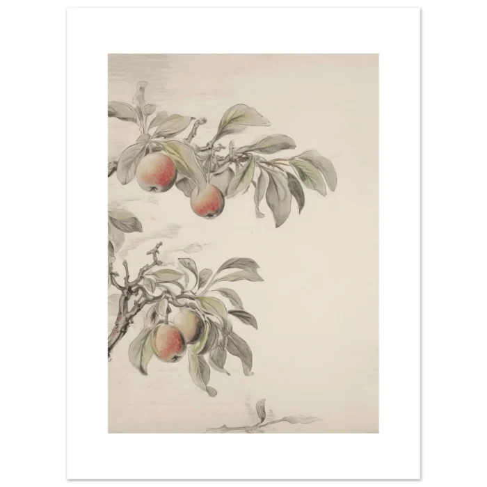 32834245-fe9b-4e97-8524-38aad334a1f6