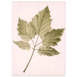 332fcf11-a695-4f6d-929f-1645a0951366