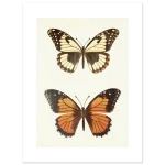 33a1ea0a-1f31-4013-a22d-93bdb13f7ef2