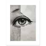 33b39c02-e614-475b-aec1-7f77301ae734