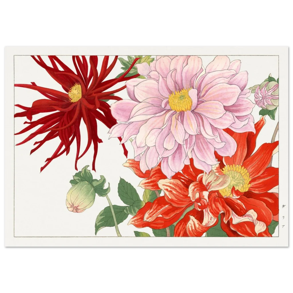 3434ff6a-63d7-434d-837a-03f83a4cd89a.webp 3434ff6a-63d7-434d-837a-03f83a4cd89a