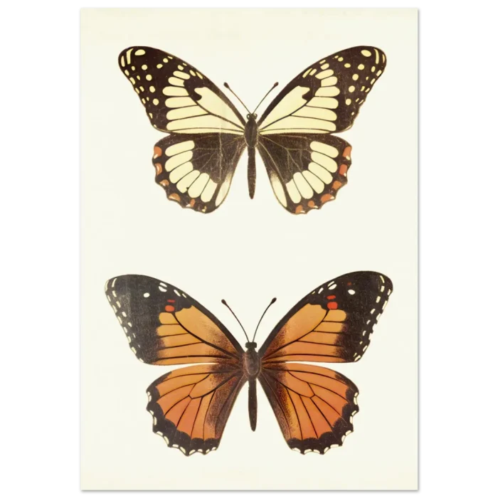 34c31a3a-e41c-484a-8f72-6137bd7f730d