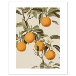 3706ef09-d0a4-4b12-bb77-f0f958eb1601