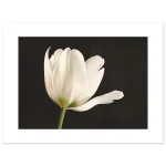 37142304-1933-4bd5-8d85-424e4878802e