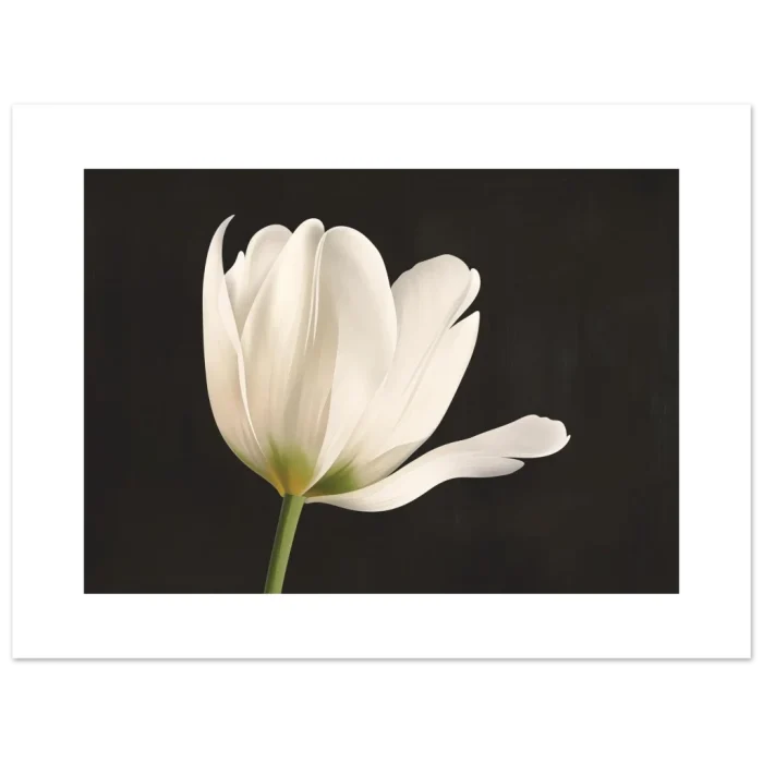 37142304-1933-4bd5-8d85-424e4878802e