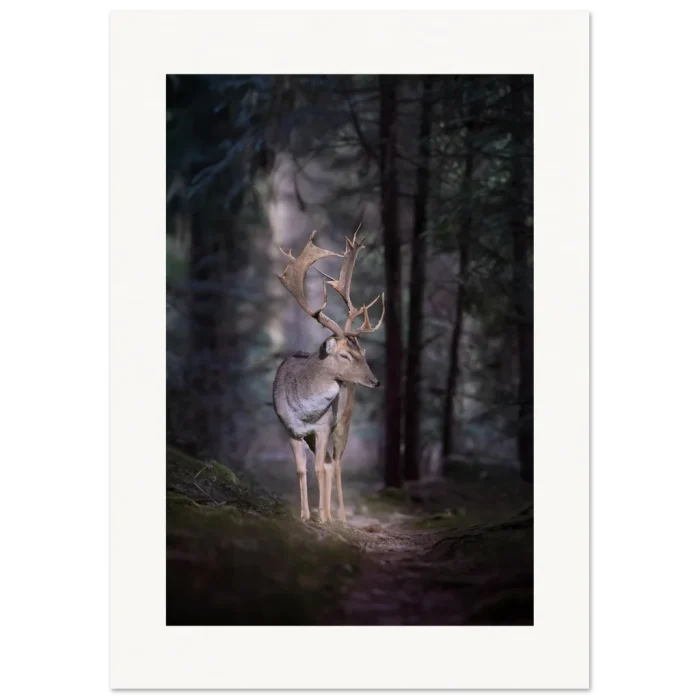 38191126-065d-4392-ba74-c91395b35f0b