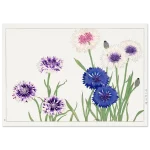 38aa9af9-5eab-46f3-a424-4457b9623122