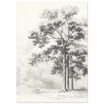 391e59e2-7033-47fb-9d91-f440dade322f