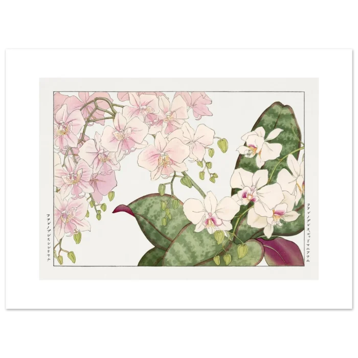 392148b4-d916-4338-aff9-fab86a66b283