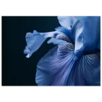 3954f901-d3ec-4f2a-a4ee-8281e12ed8b2