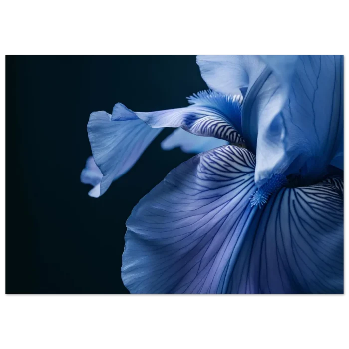 3954f901-d3ec-4f2a-a4ee-8281e12ed8b2