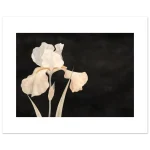 3a9349fe-ac09-4b1f-bbf5-3deb15b35689