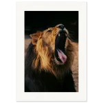 3ac50c1e-7a50-48ad-8ec8-20e2beea3d30