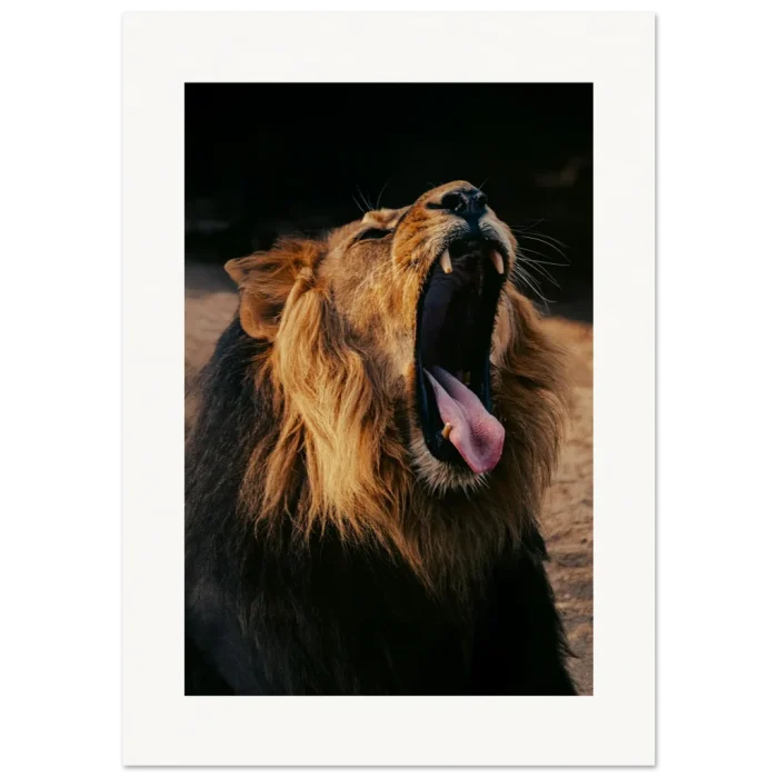 3ac50c1e-7a50-48ad-8ec8-20e2beea3d30