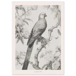 3c2093f1-0562-4823-9e73-f76472d6c260