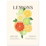 3ca8015f-02aa-4cc5-bd91-c9f00049f224