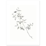 3cdcea2d-fd90-419a-8a02-bc775d5220d3