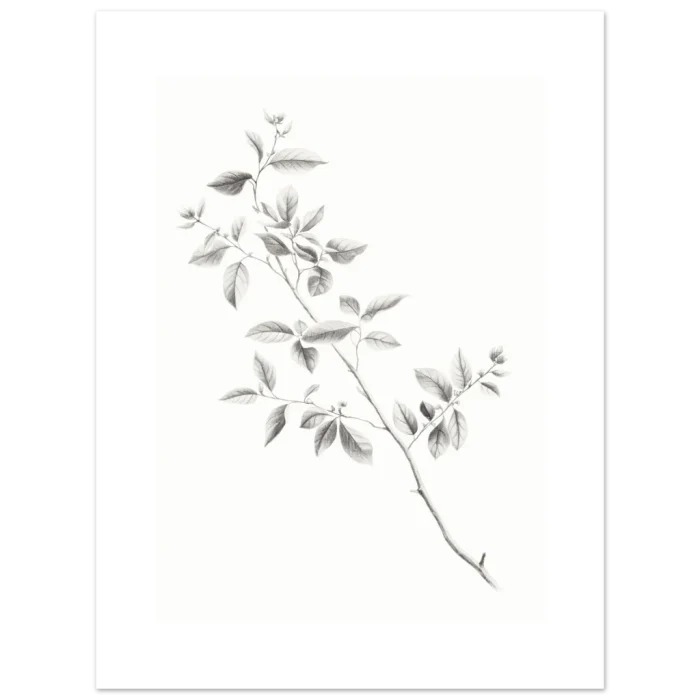 3cdcea2d-fd90-419a-8a02-bc775d5220d3