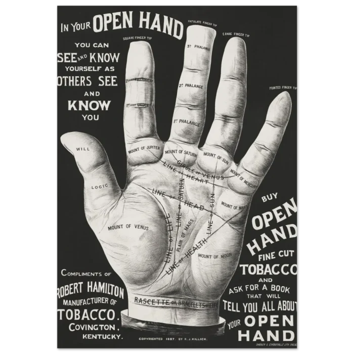 3d1c909d-8b81-49c0-9fad-e16e50c23242