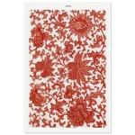 3e7f599e-4496-429b-9a81-04cf4f9b5191