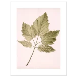 3ecfcead-2e9c-4a50-8ac1-e4079818f346