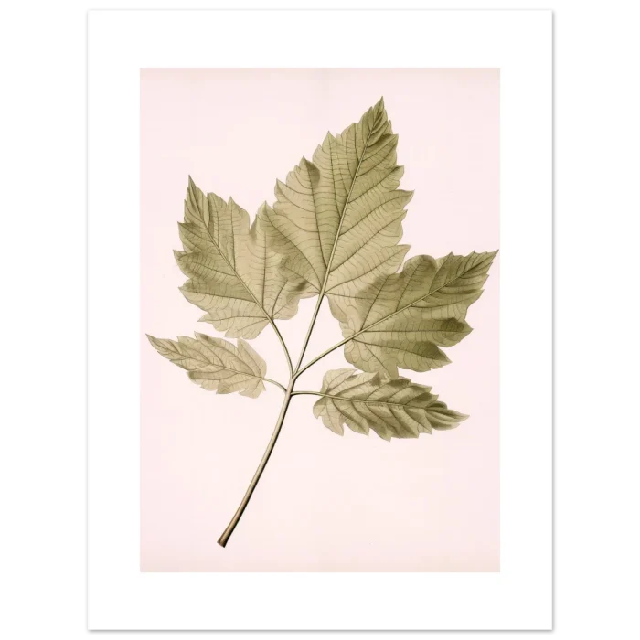 3ecfcead-2e9c-4a50-8ac1-e4079818f346