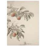 3f024b9c-2f09-4a6d-ae8d-1b97e2396b3c