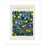 3f79f2c2-d441-4cbb-a0ef-c7ed99c192be