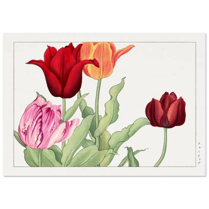 3fa8cab1-89aa-4c34-a100-7e956cd99a4a