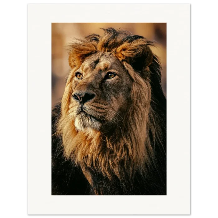 401ce469-a1b9-4cb2-9845-1257066e468b