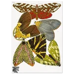 405be601-e766-48cc-b7ef-9adcdeb21f85