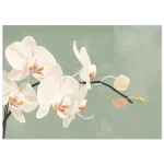 40c6bc79-1ad4-4972-821c-22af6a790207