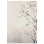 41495389-9189-44df-b453-20fdf0066eda