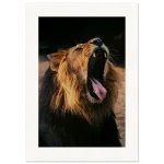 41d82084-e1e9-41c7-9834-0d17d1d592fa