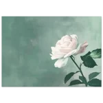 422b98a0-6e4b-4118-b52e-38e282f466e2