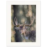 43304e1c-5d58-41b7-a68c-e7e4c65ea75c