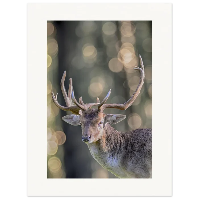 43304e1c-5d58-41b7-a68c-e7e4c65ea75c