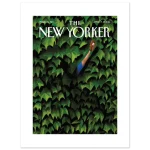 43309abf-c2c3-4674-bd96-e59e6d2a40dc