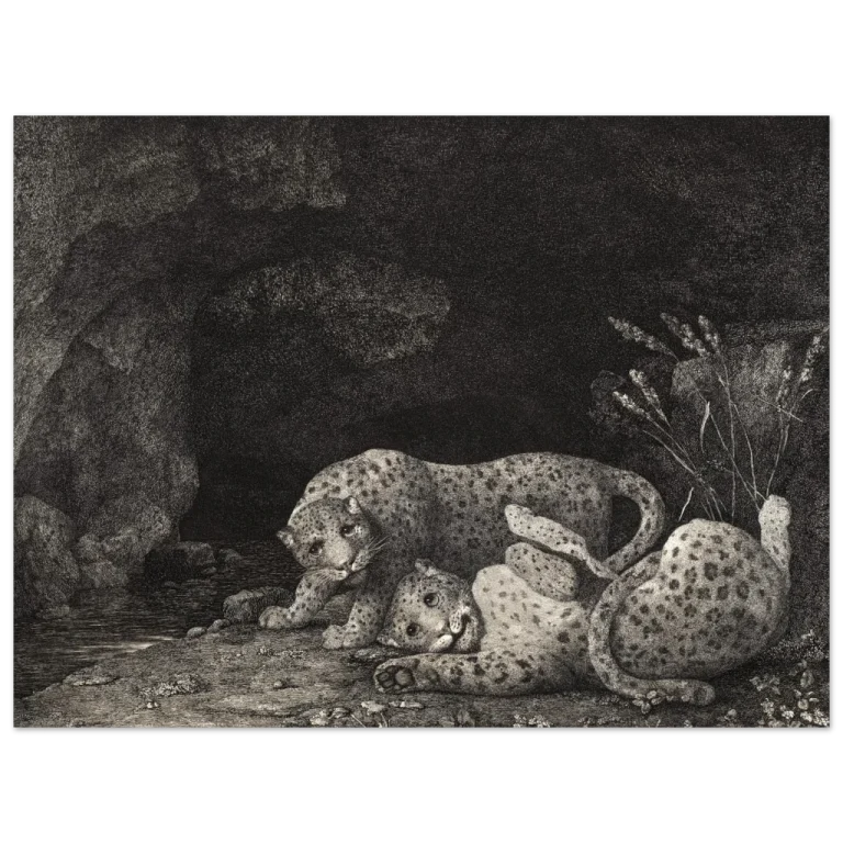 44badf52-1a3d-46cf-bea3-0489b6eeb7c1