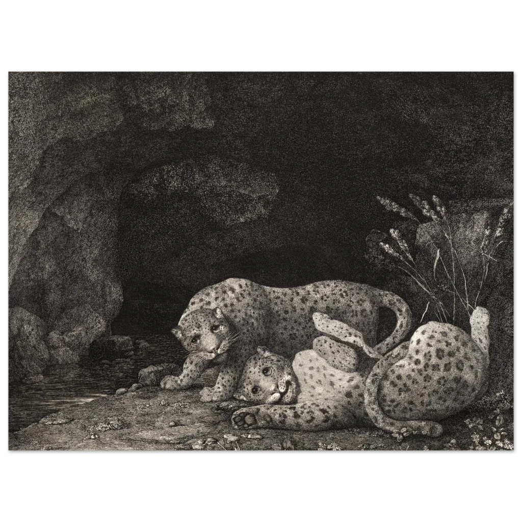 44badf52-1a3d-46cf-bea3-0489b6eeb7c1