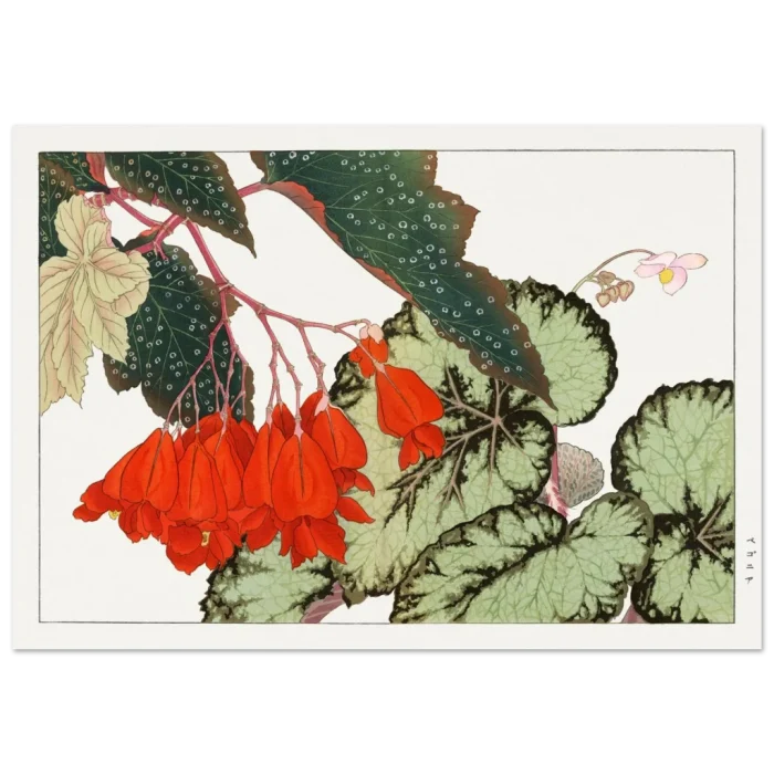 450a0ba2-804a-4042-a955-a030739a3625