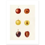 45575a8a-2f60-416b-8eab-2eab796177d6