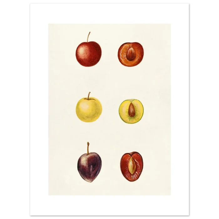 45575a8a-2f60-416b-8eab-2eab796177d6