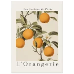 45e5f917-89fc-459d-a23c-cbe7b27b1e10