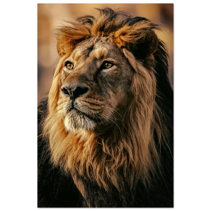 4643933e-83a3-4584-aafb-71f292954667